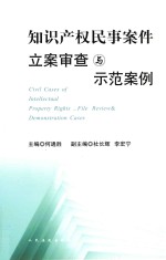 知识产权民事案件立案审查与示范案例