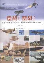 空战!空战 从第一次世界大战至第二次世界大战的空中作战行动