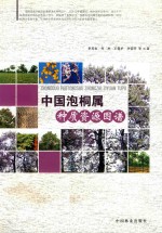 中国泡桐属种质资源图谱