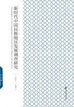 新时代中国民族地区发展调查研究