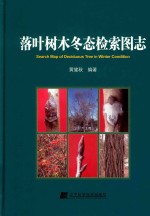 落叶树木冬态检索图志