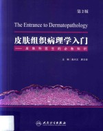 皮肤组织病理学入门 皮肤科医生的必备知识