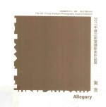 寓言 2017年度三影堂摄影奖作品展