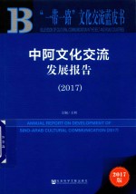 中阿文化交流发展报告 2017