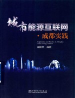 城市能源互联网·成都实践