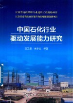 中国石化行业驱动发展能力研究