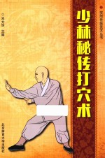 少林秘传打穴术