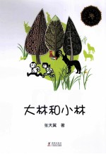 大林和小林