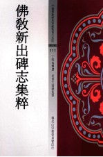 中国佛教经典宝藏精选白话版 佛教新出碑志集粹