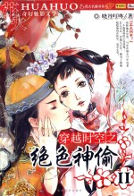 穿越时空之绝色神偷 2