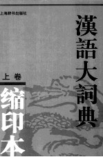 汉语大词典 上 缩印本