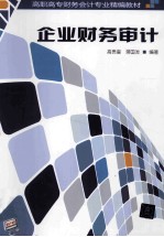 企业财务审计