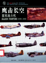 鹰击长空 盟军战斗机