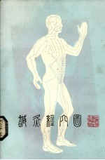 针灸经穴图