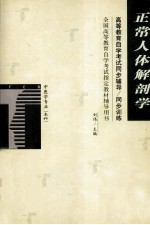 高等教育自学考试同步辅导/同步训练 正常人体解剖学