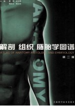 解剖 组织 胚胎学图谱 第2版