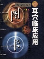 耳穴临床应用图卡 中英对照