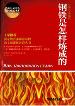 钢铁是怎样炼成的 权威全译典藏版