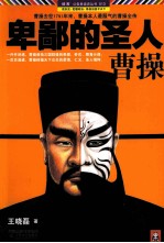 卑鄙的圣人 曹操