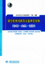 架空配电线路及设备典型故障 诊断·处理·预防