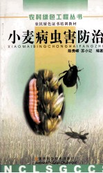 小麦病虫害防治