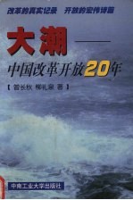大潮-中国改革开放20年