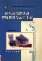 深水枢纽港建设关键技术及示范工程