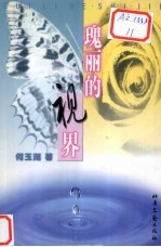 瑰丽的视界