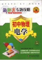 新阳光专题攻略 初中物理 电学