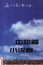 蓝天文艺系列丛书 中短篇小说卷 上 1985-1990
