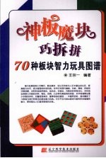 神板魔块巧拆拼 70种板块智力玩具图谱