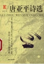 唐亚平诗选