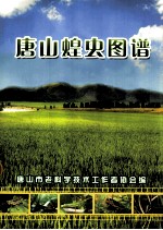 唐山蝗虫图谱