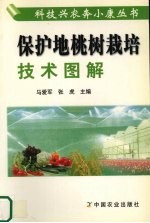 保护地桃树栽培技术图解