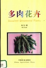 多肉花卉