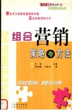 营销组合策略与方法