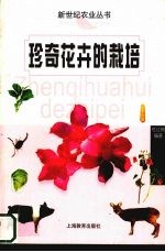 珍奇花卉的栽培