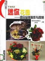 容器中的迷你花园 组合盆栽制作与欣赏