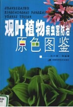 观叶植物病虫害防治原色图鉴