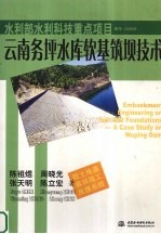 云南务坪水库软基筑坝技术