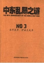 中东乱局之谜 NO 3
