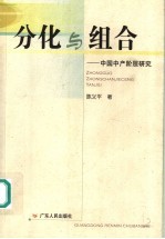 分化与组合 中国中产阶层研究