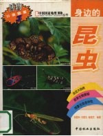 身边的昆虫