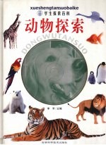 动物探索