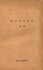 湛江市文化志 下