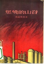 燃烧的山谷