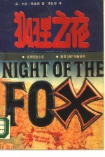 狐狸之夜