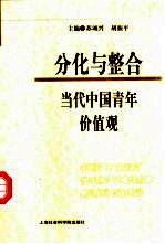 分化与整合 当代中国青年价值观