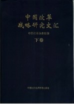 中国改革战略研究文汇 下