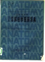 人体解剖学图解词典 汉拉英对照